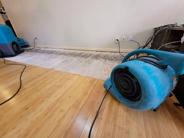 Professional Burst Pipe Water Damage technician working in Henagar, AL